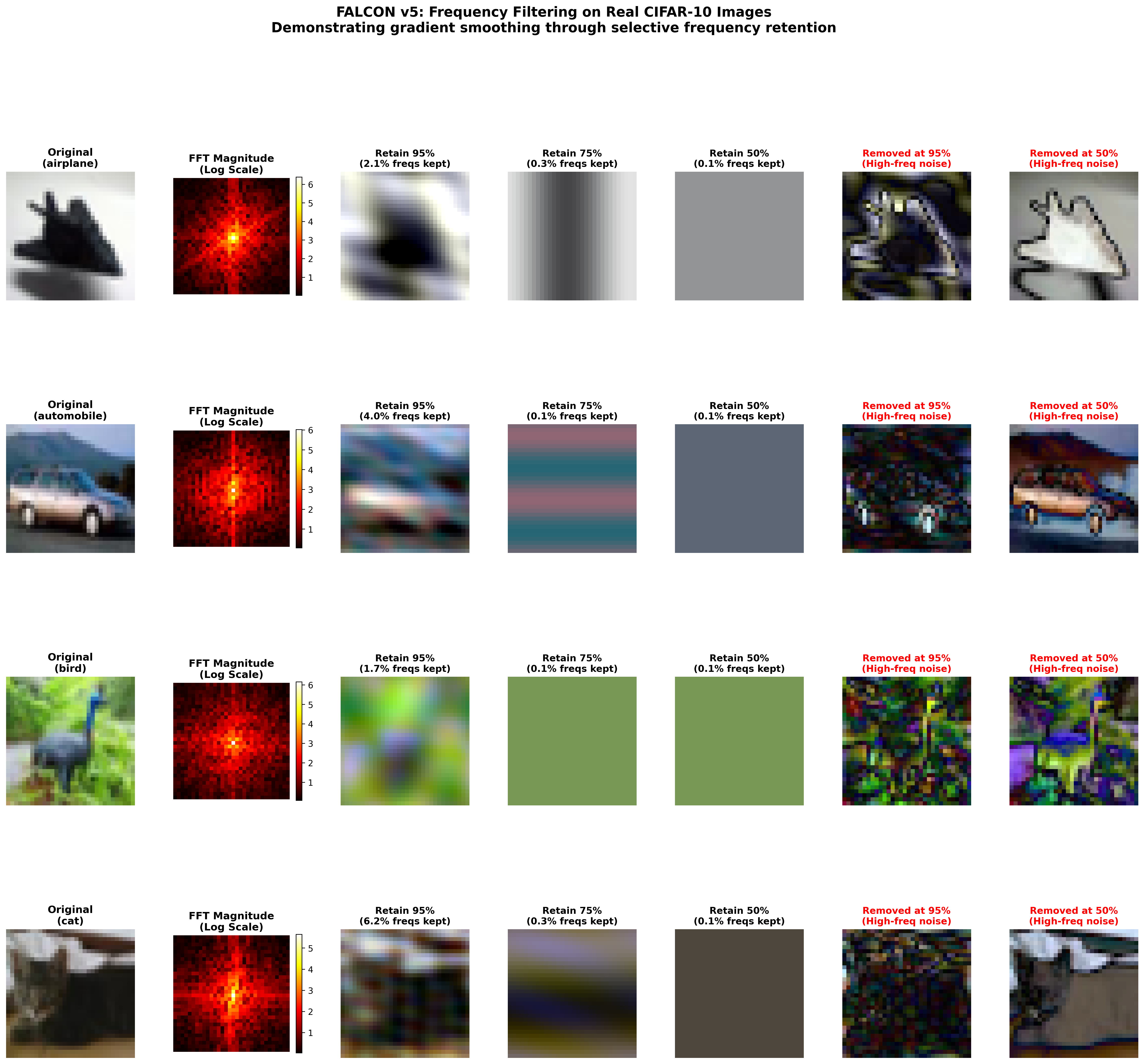 Real Image Filtering Example